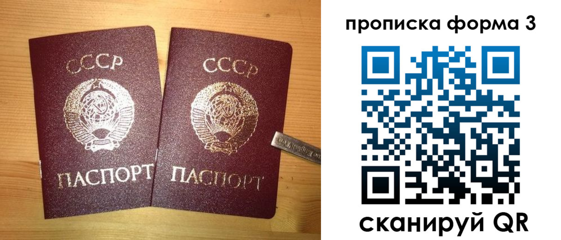 прописка иностранных граждан в Ростовской области